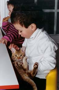 Cats that are good with Children